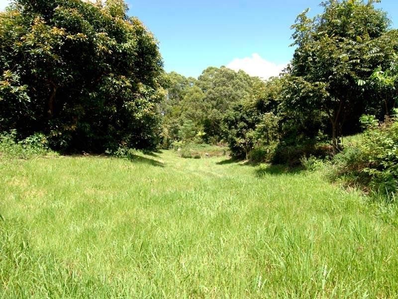 Tamborine Mountain QLD 4272