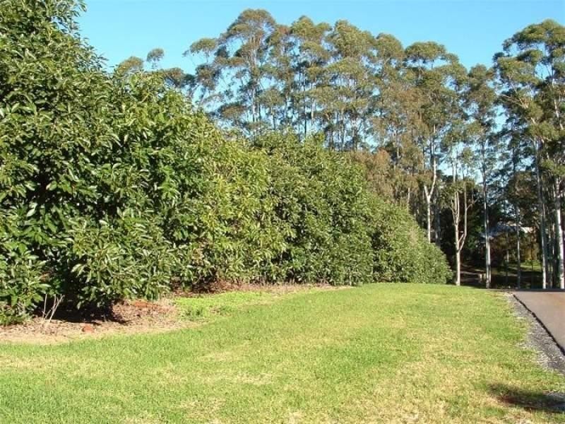 Tamborine Mountain QLD 4272