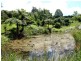 Tamborine Mountain QLD 4272