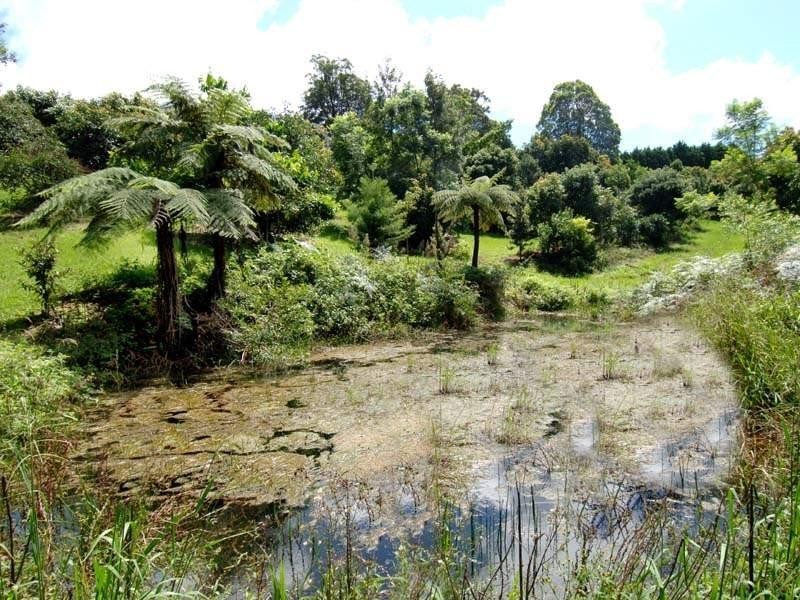 Tamborine Mountain QLD 4272