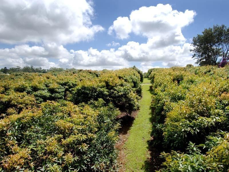 Tamborine Mountain QLD 4272