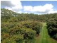 Tamborine Mountain QLD 4272