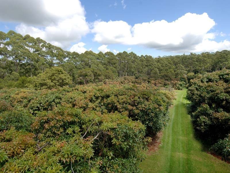 Tamborine Mountain QLD 4272