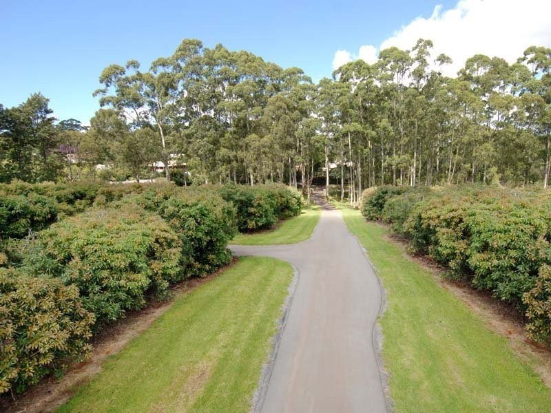 Tamborine Mountain QLD 4272