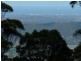4 Coomera Gorge Drive, Tamborine Mountain QLD 4272