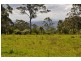Lot 7, 837 Main Western Road, Tamborine Mountain QLD 4272