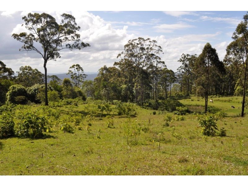 Lot 7, 837 Main Western Road, Tamborine Mountain QLD 4272