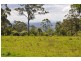 Lot 7, 837 Main Western Road, Tamborine Mountain QLD 4272