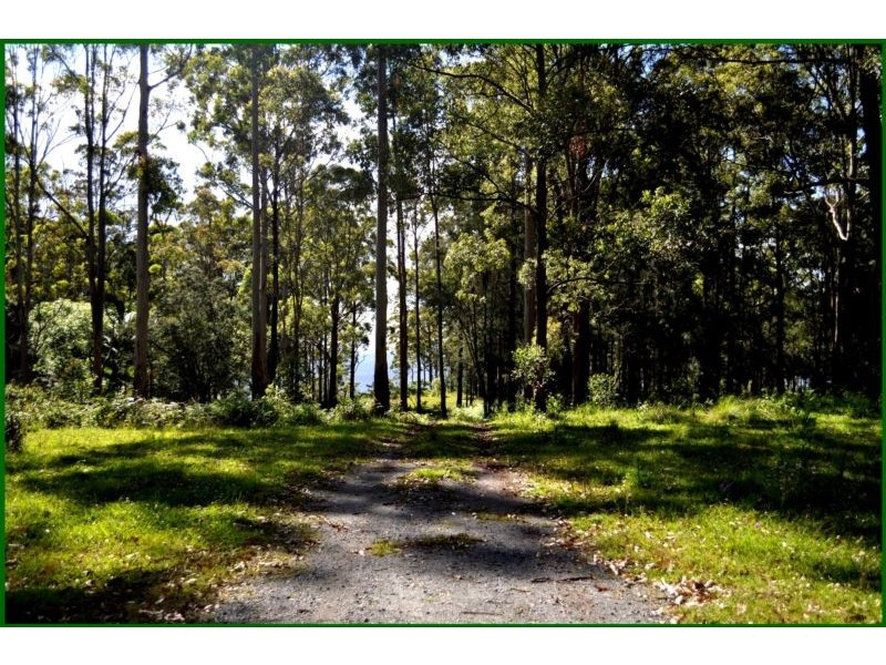 Tamborine Mountain QLD 4272