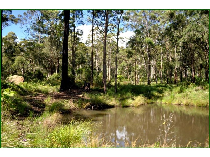 Tamborine Mountain QLD 4272