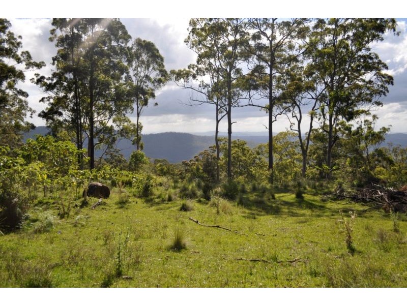 Tamborine Mountain QLD 4272