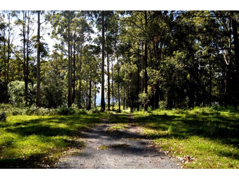 Lot 9, 9 Main Western Road, Tamborine Mountain QLD 4272