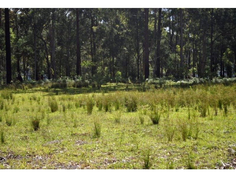 Lot 11,  Main Western Road, Tamborine Mountain QLD 4272