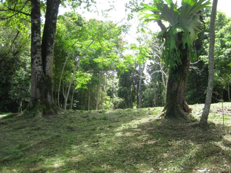 Cainbable QLD 4285