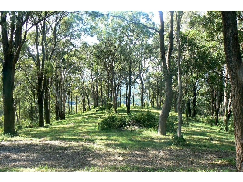 Willow Vale QLD 4209