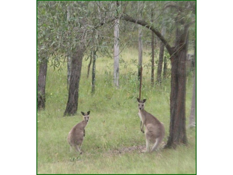 Tamborine QLD 4270