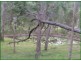 Tamborine QLD 4270
