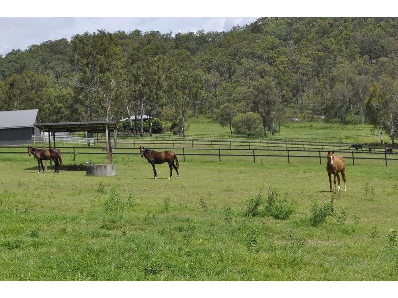 Canungra QLD 4275