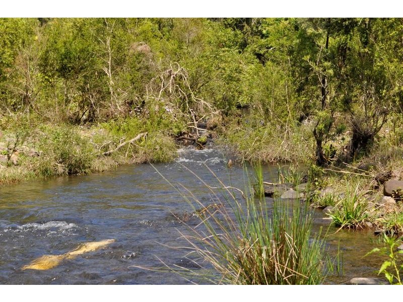 Canungra QLD 4275