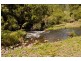 Canungra QLD 4275