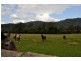 Biddaddaba QLD 4275
