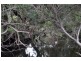 Biddaddaba QLD 4275