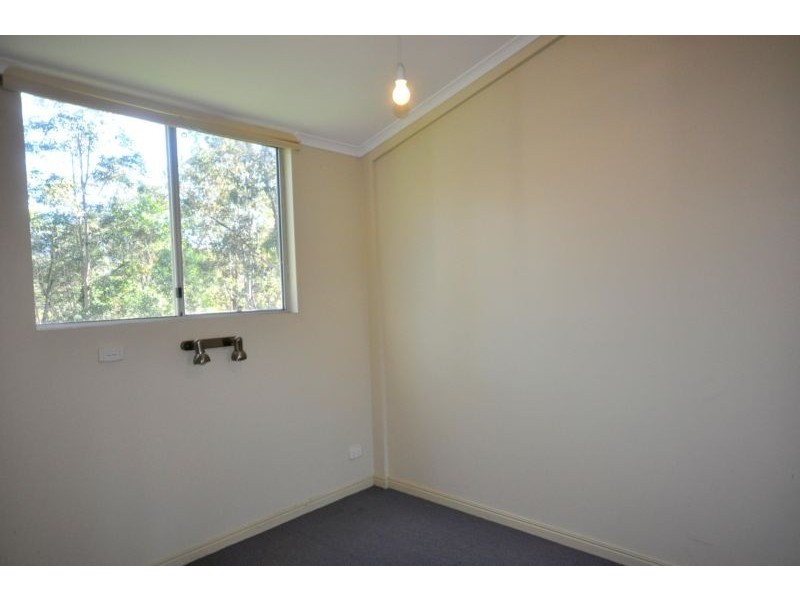 Canungra QLD 4275