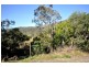 Canungra QLD 4275