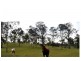Biddaddaba QLD 4275