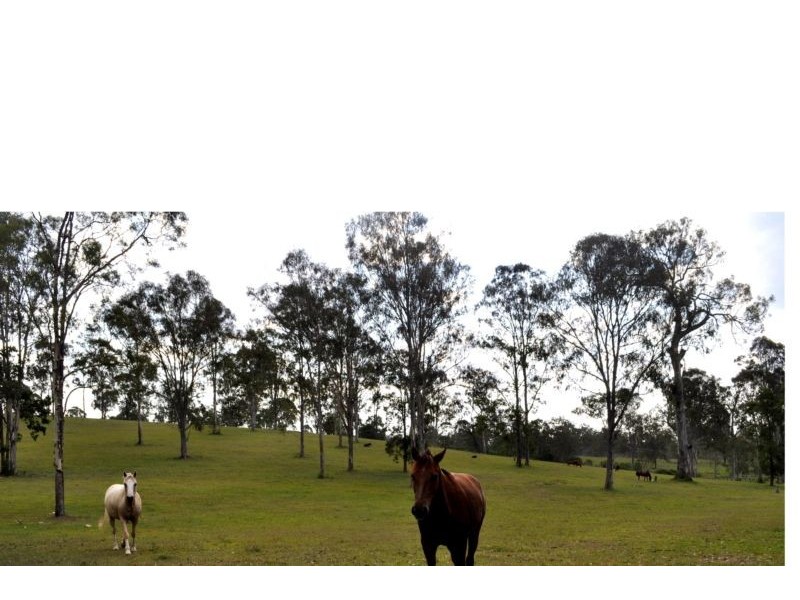 Biddaddaba QLD 4275