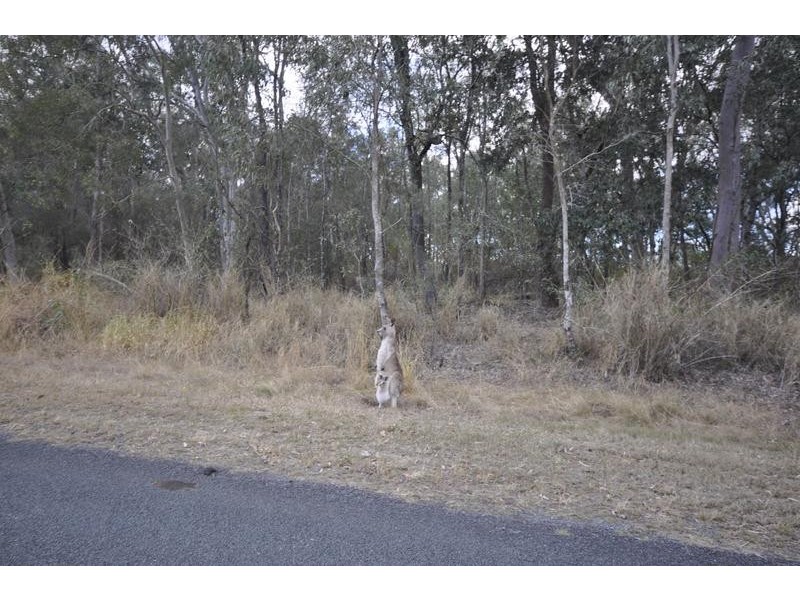 Tamborine QLD 4270