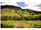 Canungra QLD 4275