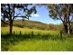 Canungra QLD 4275