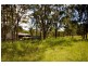 Canungra QLD 4275