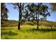 Canungra QLD 4275