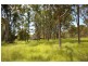 Canungra QLD 4275