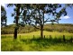 Canungra QLD 4275