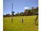 Canungra QLD 4275