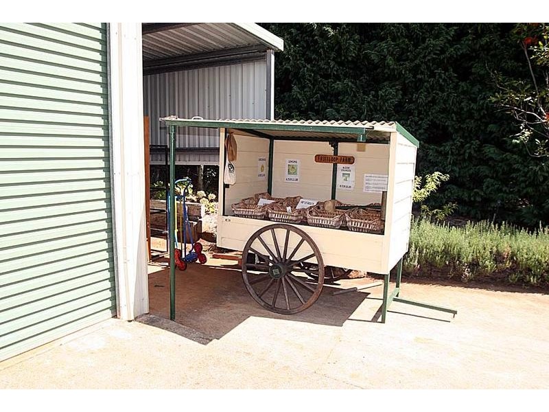 Beechmont QLD 4211