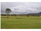 Canungra QLD 4275