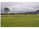 Canungra QLD 4275