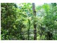 2085 Beechmont Rd, Beechmont QLD 4211