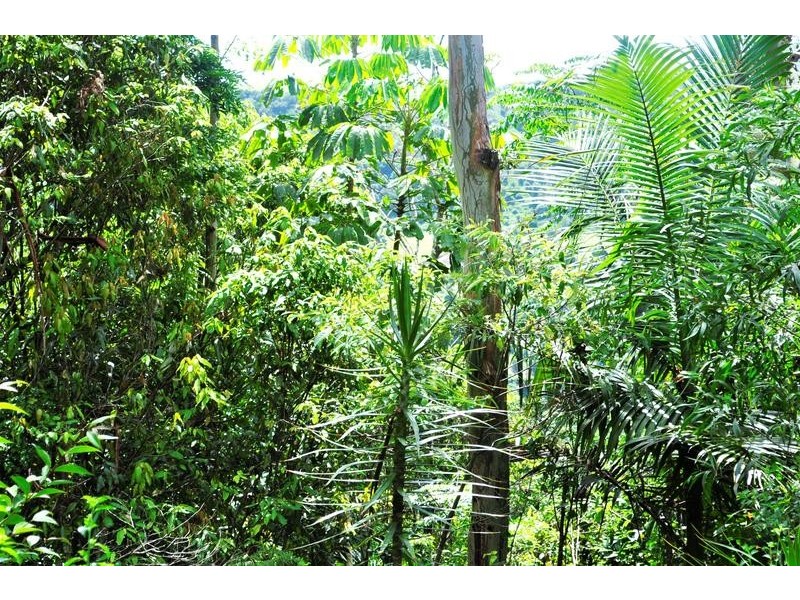 2085 Beechmont Rd, Beechmont QLD 4211