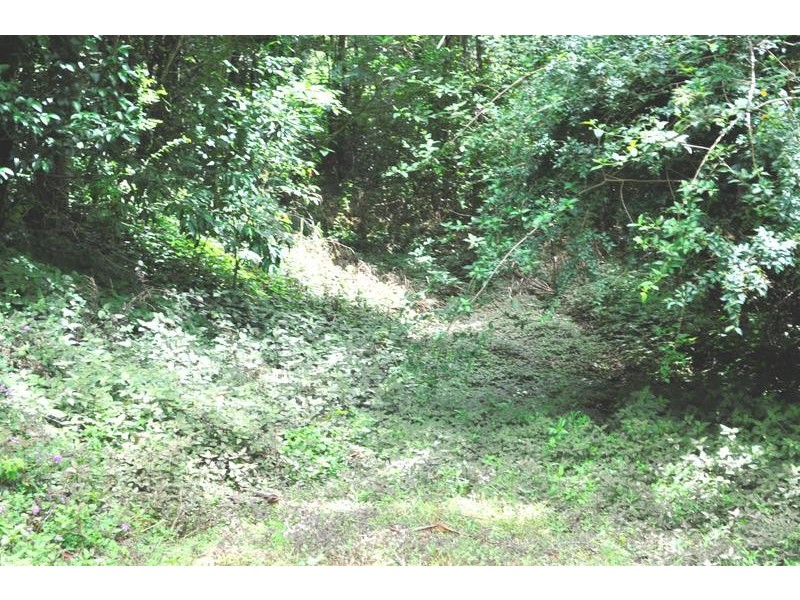 2085 Beechmont Rd, Beechmont QLD 4211