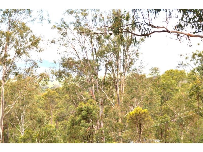 163 Tremayne Rd, Mundoolun QLD 4285