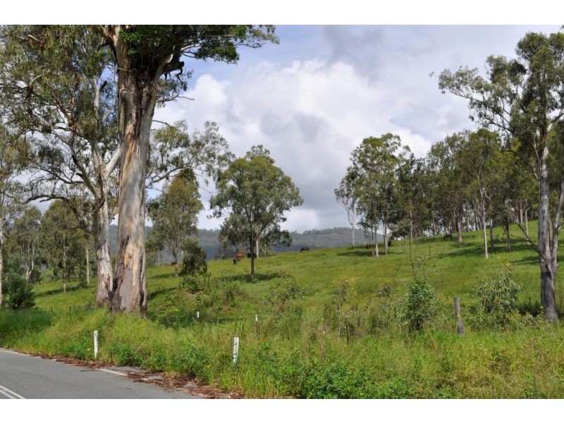 Canungra QLD 4275