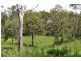 Canungra QLD 4275