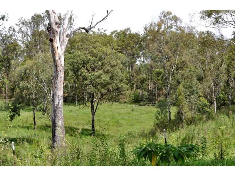 Canungra QLD 4275