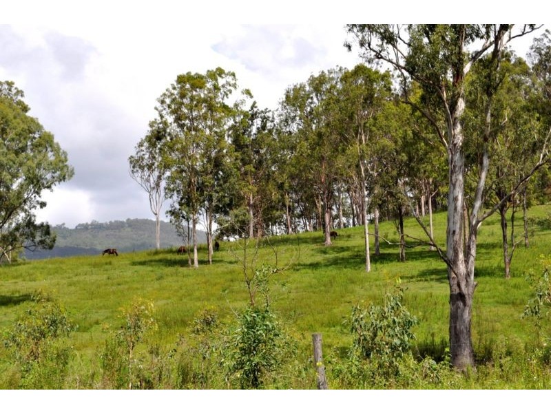 Canungra QLD 4275
