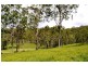 Canungra QLD 4275